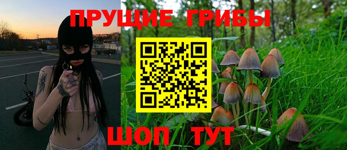 Галлюциногенные грибы Psilocybine cubensis  Псилоцибиновые грибы MAGIC MUSHROOMS  Вход с VPN  Свободный 