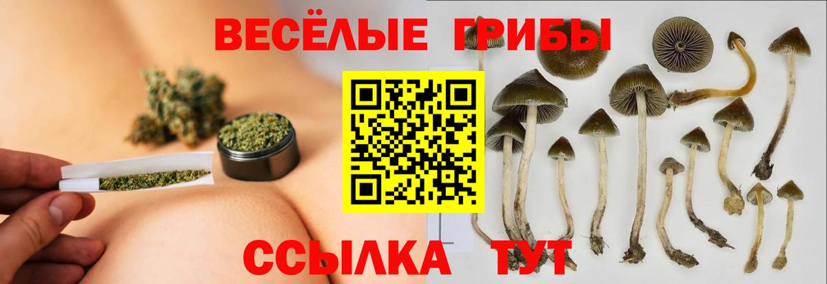 Псилоцибиновые грибы мухоморы Свободный